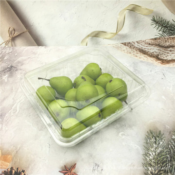 Plastic PET Fruit Blister Clamshell Box Packaging